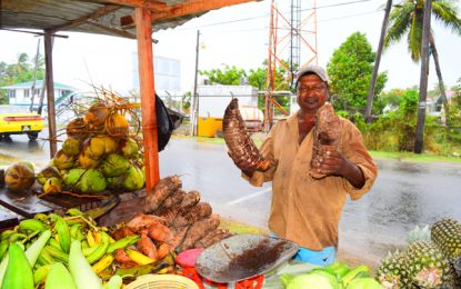 Good Faith Village: a quiet little alcove with humble inhabitants