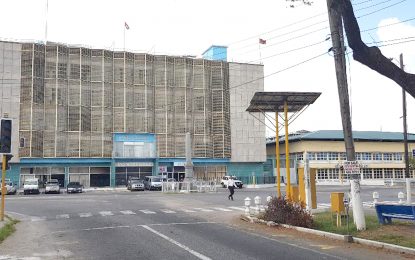 Sugar, Rice and Gold suffer blows during 2019 first quarter – Central Bank Report reveals