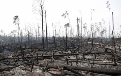 Norway team due this week as Brazil fires place spotlight on Guyana’s forest