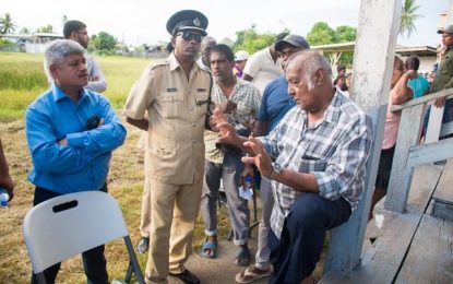 Streetlights for Crabwood Creek