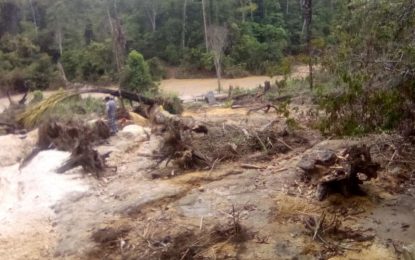 Indigenous pensioner “Mamai Lucille” driven out of home by miners