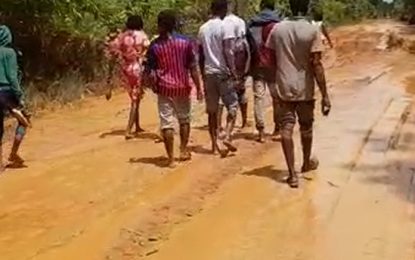 Investigations reveal… Busloads of Haitians head to Lethem daily