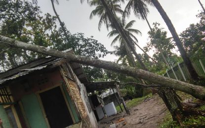 100 Linden families affected, million$ lost …as storm pummel township