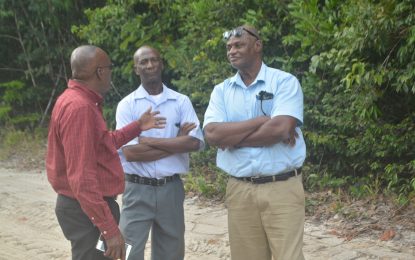 Road construction sees farmers flocking to acquire farm lands at Millie’s Hide Out