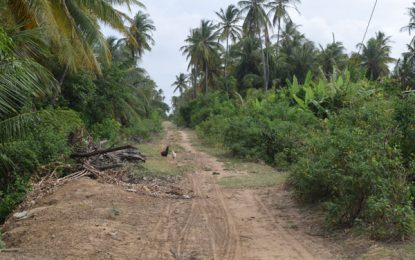 Calcutta Village: a quiet location in need of infrastructural upgrades