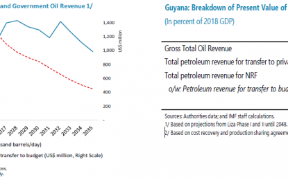 Most of Liza 1, 2 oil wealth will not meet the people – IMF report