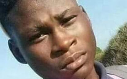 Schoolboy stabbed to death, 17-year-old neighbour detained