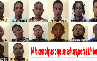 14 in custody as cops smash suspected Linden gangs