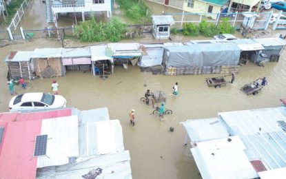 High tide invades coastal Guyana