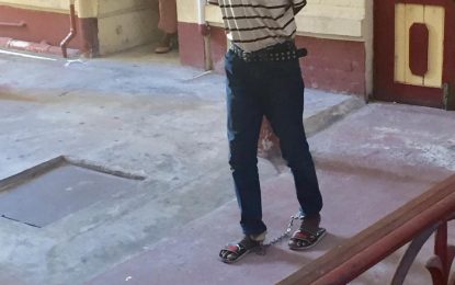 “I thief de battery but don’t send me to jail,” man cries in court