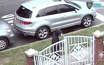 Guyanese woman cutting US trip short after gun pointed at baby