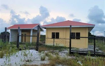 Incomplete Onderneeming health post becomes haven for goats, other stray animals