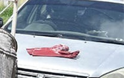 Beekeeper’s car stolen from right under his nose