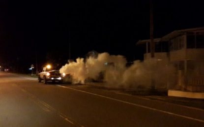 Surveillance at peak as Ministry ramps up fight against dengue fever