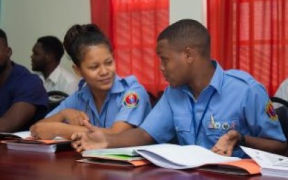 Disaster-related mental health case training for frontline professionals