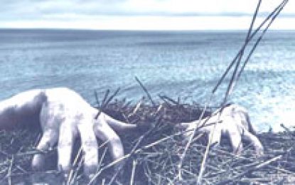 GUYANESE HORROR FICTION…Come to me when night falls