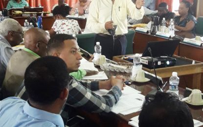 Businessman touts end to landfill sites –makes pitch to set up incinerator, recycling plant