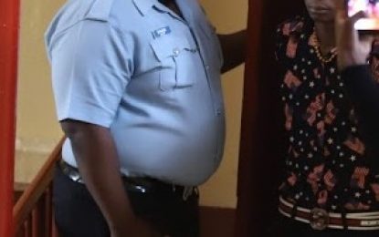 Sophia labourer who gives friend gun to shoot enemy, gets remanded