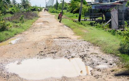 Bachelor’s Adventure: a quiet village where youth are straying from their roots