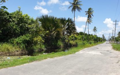 Le Repentir Cemetery running out of space, expansion to be addressed – M&CC solicits help in maintenance