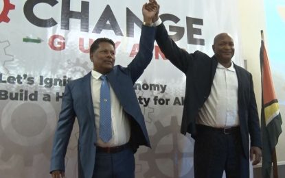 Pegasus hotel owner, accountant launch political party