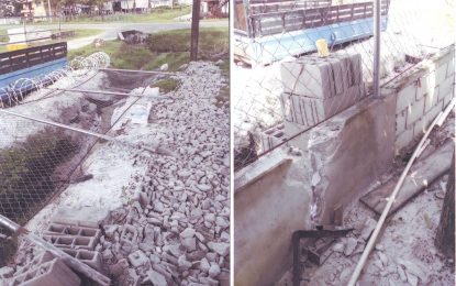 ‘Village bully’ terrorizes Anna Regina residents