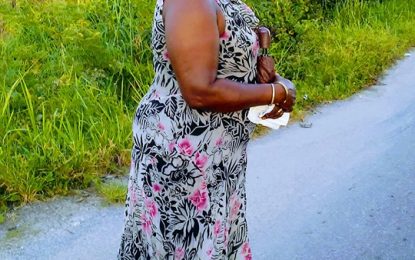 Head-on collision leaves five dead, one critical – as police vehicle slams into car