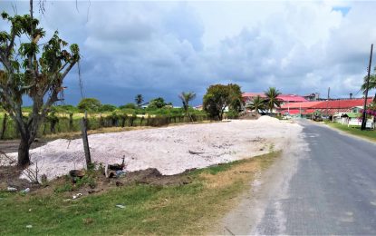 Neither town council nor Caricom rice mill has right to disputed state land… property already leased – Trevor Benn.