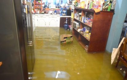 Mahaicony homes flooded in minutes, as waves breach barriers
