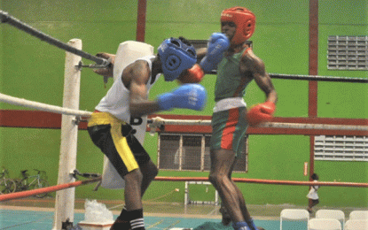 Lennox Blackmore Nat Intermediate C/Ships… FYC’s Halley shines on night two as GDF dominate