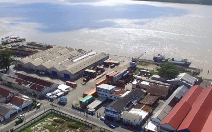 GNSC not up for sale- NICIL