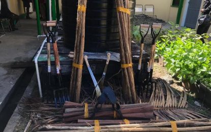 Agri-Ministry pushes for healthy living through GRAIN-H