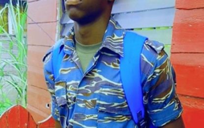 Tucville teen charged for killing soldier