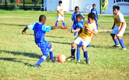 Courts Pee Wee Tournament Defending champions march into quarterfinal