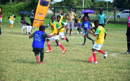 Courts PeeWee Football Round-of-16 to begin this weekend