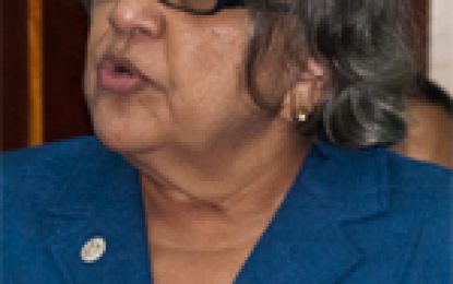 Public will be allowed to scrutinise contentious House-to-House data – GECOM Commissioner