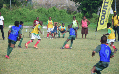 Courts Pee Wee Football Tourney… Final round of group matches completed