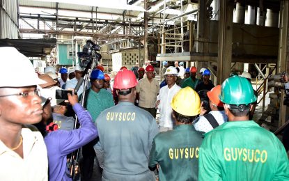 Sugar crop slides 35% behind schedule