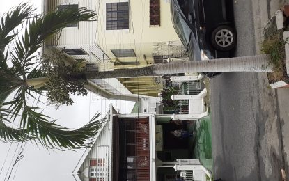 Guyana Fire Service saves the day