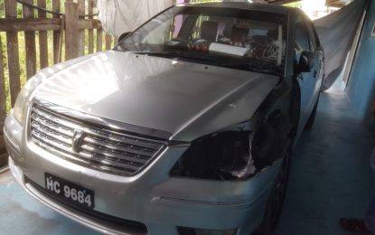 Hit-and-run driver gets bail