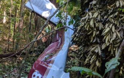 Pilot rescued after plane crashes