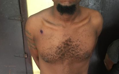Gold miner, bandits shootout…  Female cousin in custody for harbouring wanted man