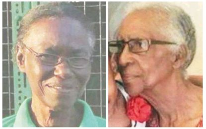 Albouystown youths admit to killing women, 89, 77 in South Road home  -third accused still to be tried