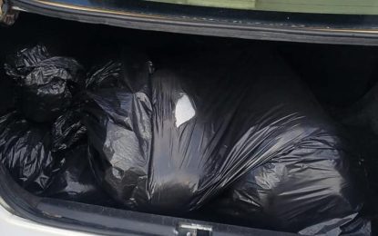 News anchor – turned-cop, Berbician arrested in car with large quantity of ganja