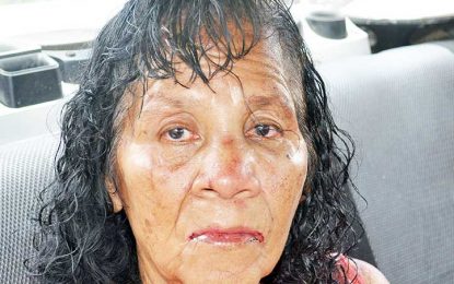 Family tracks and captures teen who  tried to rape granny going to church