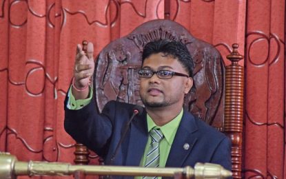 City Council is not responsible for seawall regulations – Mayor