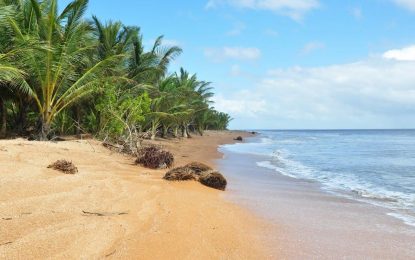 Two fishermen shot, chopped to death at Shell Beach