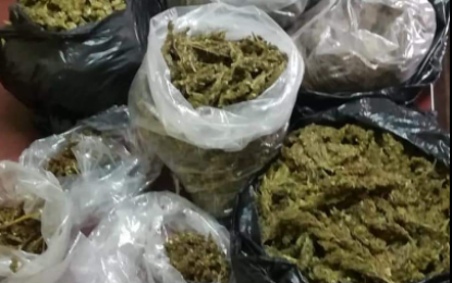 Police seize 4 firearms, over 1300g of Cannabis within 24hrs