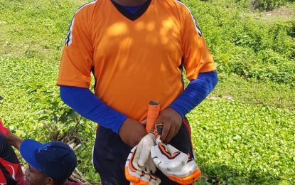 Yhap ton helps Cotton Field to victory