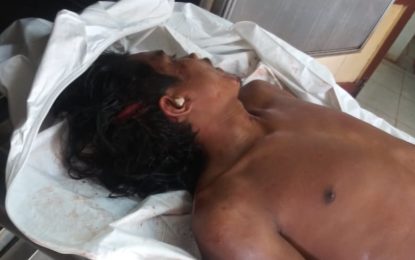 Teen found dead on trail after birth night celebration – Suspected to be a hit and run victim